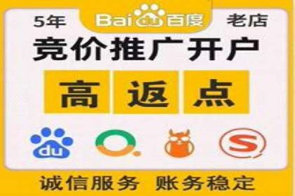 百度竞价SEM案例：如何利用数据分析优化广告效果