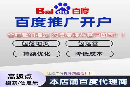 百度广告投放策略优化的经典案例